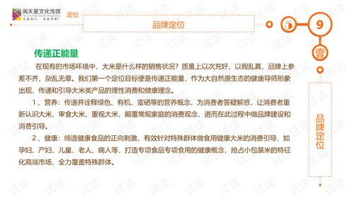 文化经纪人服务驱动大米姐品牌营销策划方案