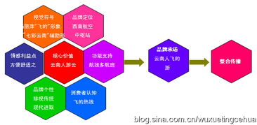 彩云之翼，文化为帆——东方航空云南市场品牌营销策划纪实
